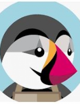 Integración entre Payway y PrestaShop 8